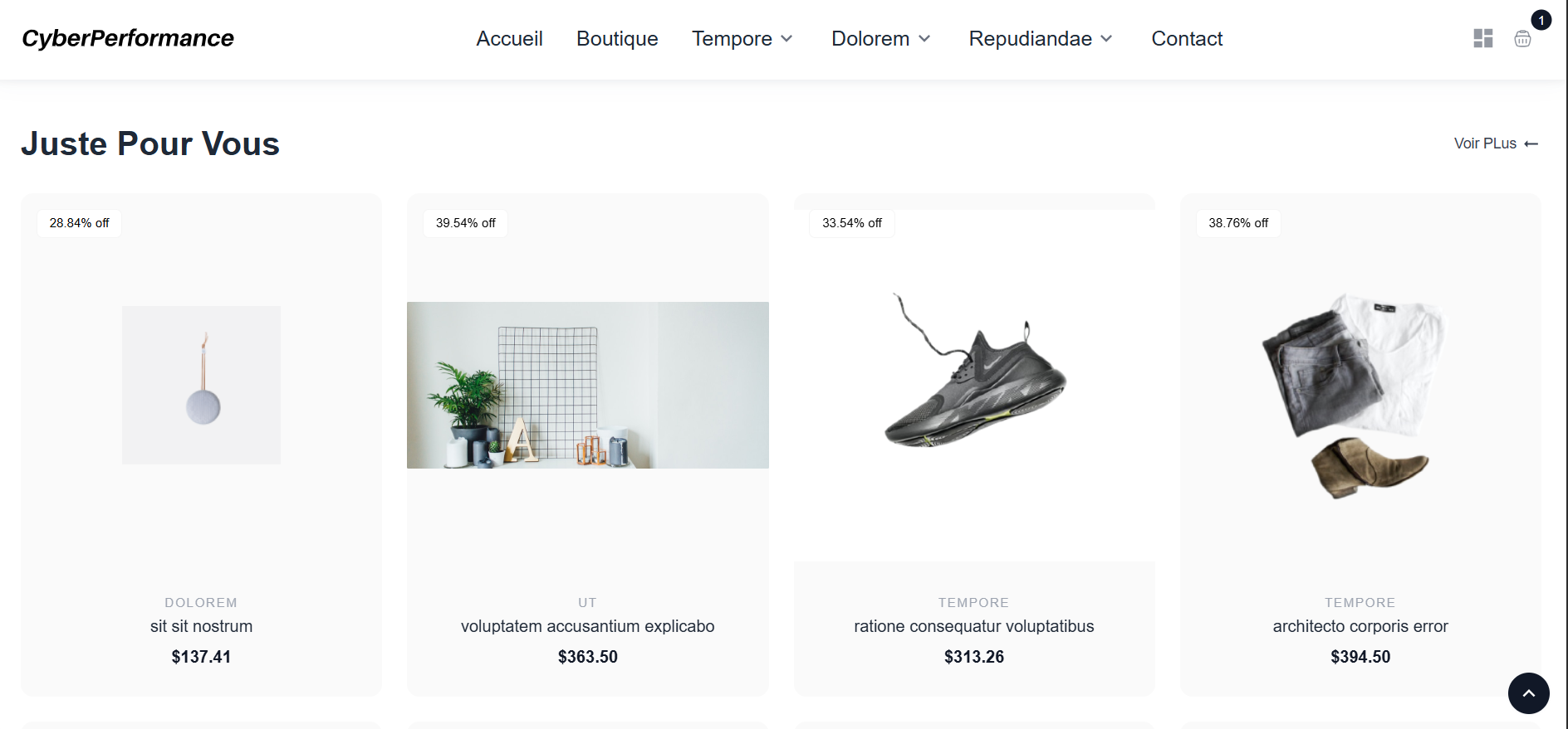 briss hermann projet web